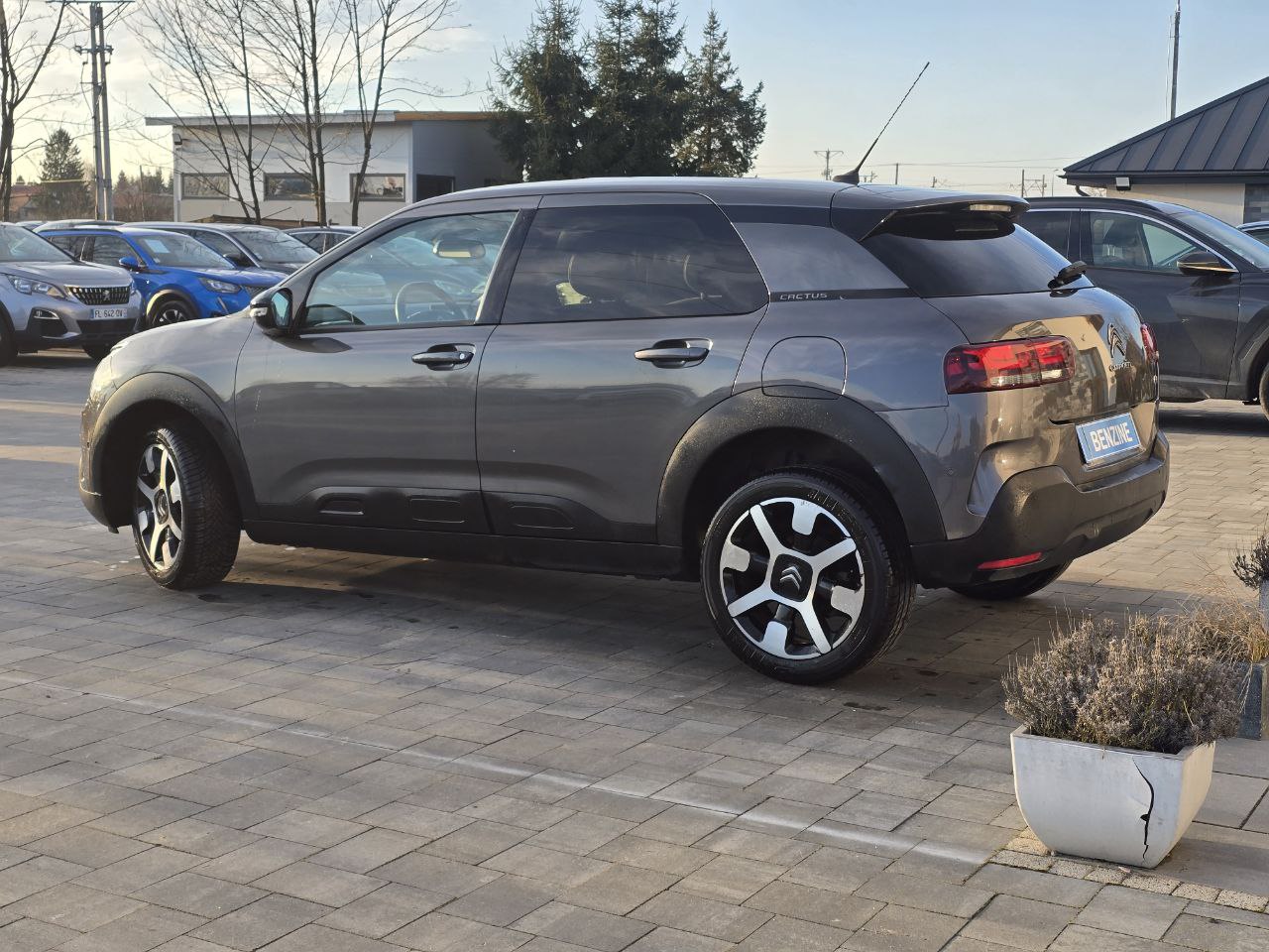 Citroen C4 CACTUS SHINE
