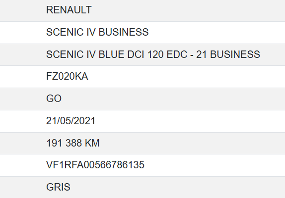 Renault Scenic Business