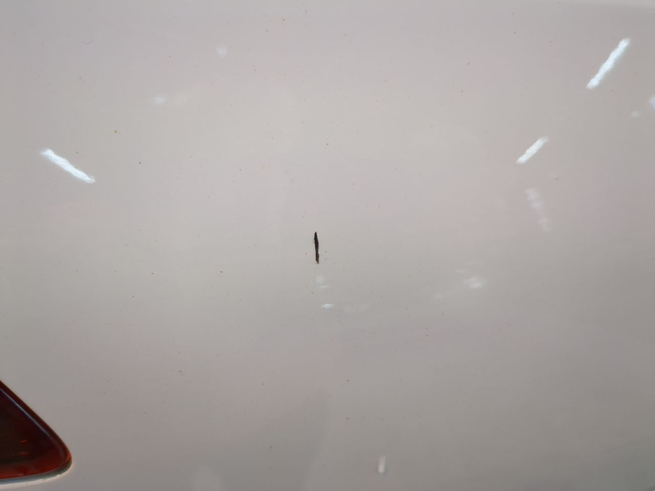 Renault Scenic Business