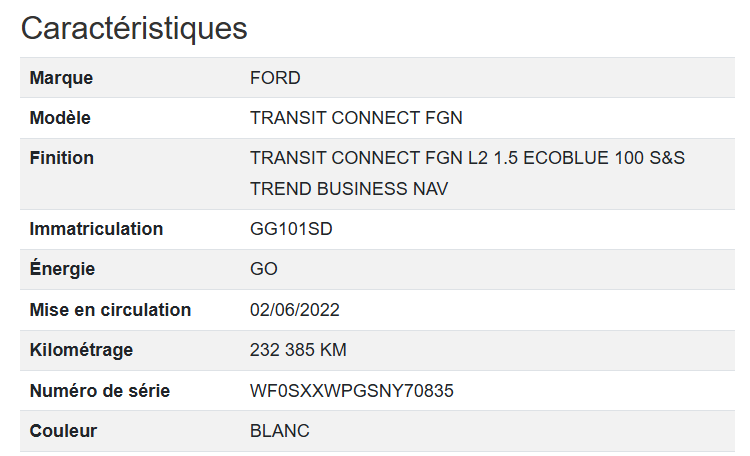 Ford Transit FGN L2
