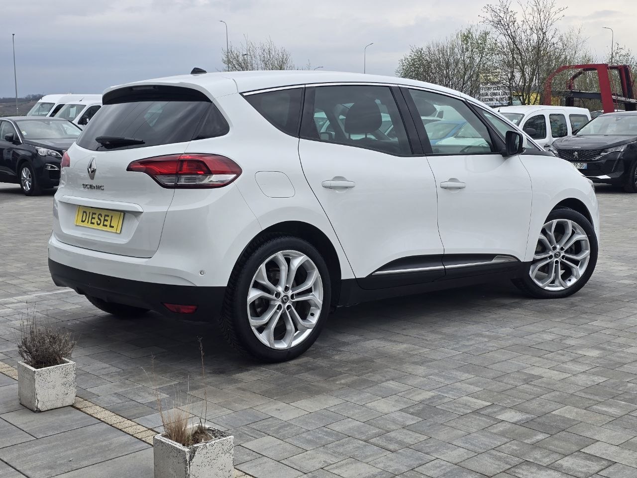 Renault Scenic Business