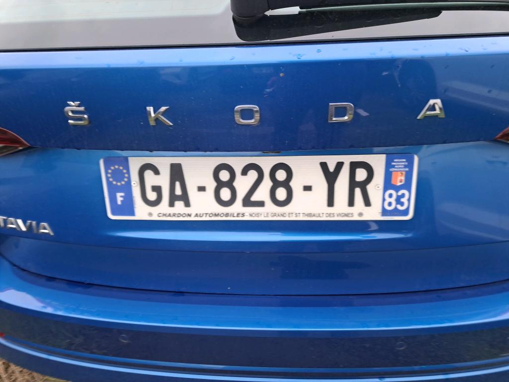 Skoda Octavia А8 Business