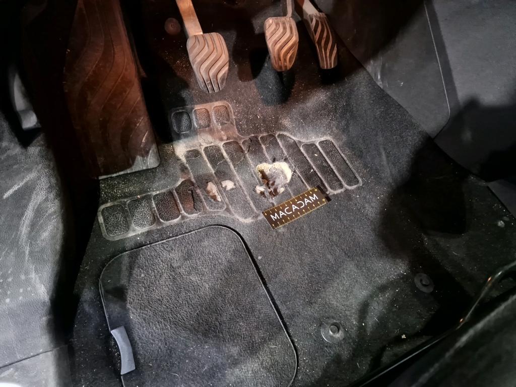 Renault Grand Scenic IV