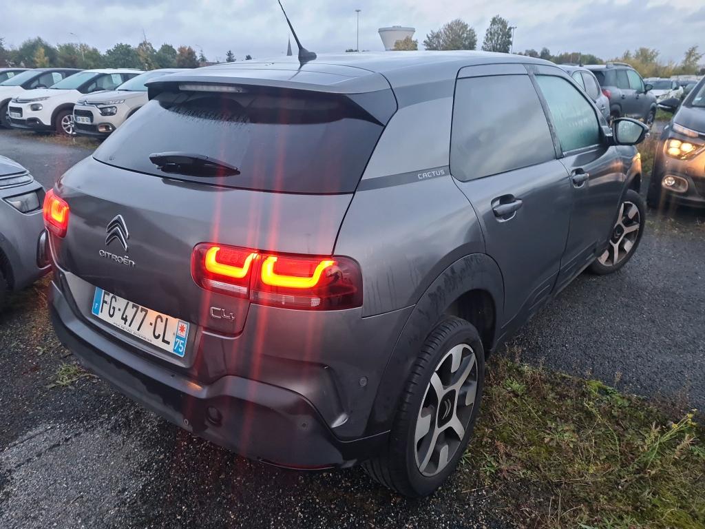 Citroen C4 CACTUS SHINE