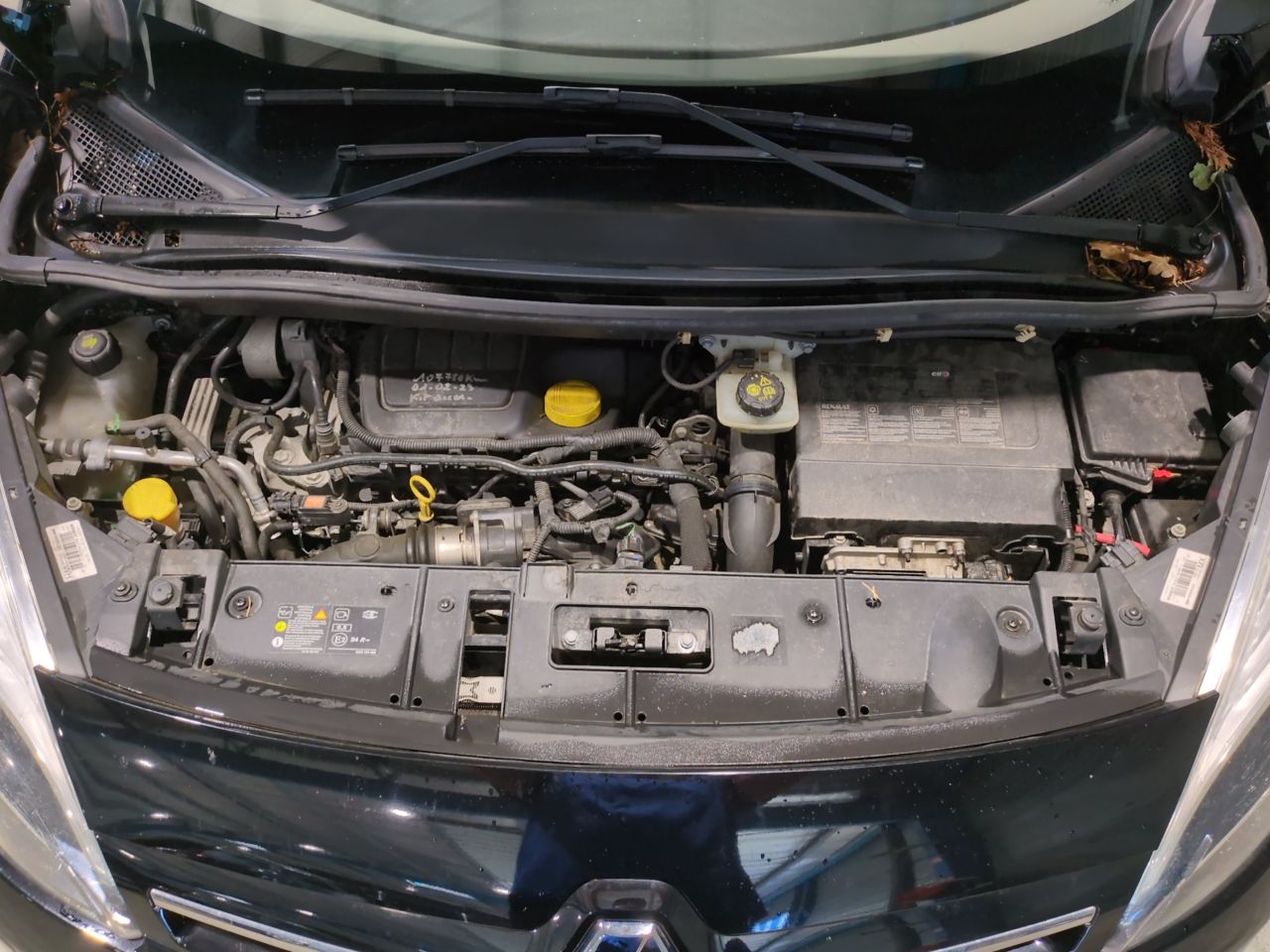 Renault Scenic III Bose Edition