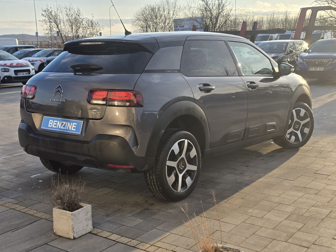 Citroen C4 CACTUS SHINE