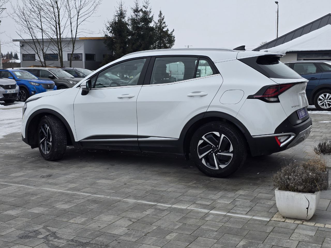 KIA Sportage HYBRID Business