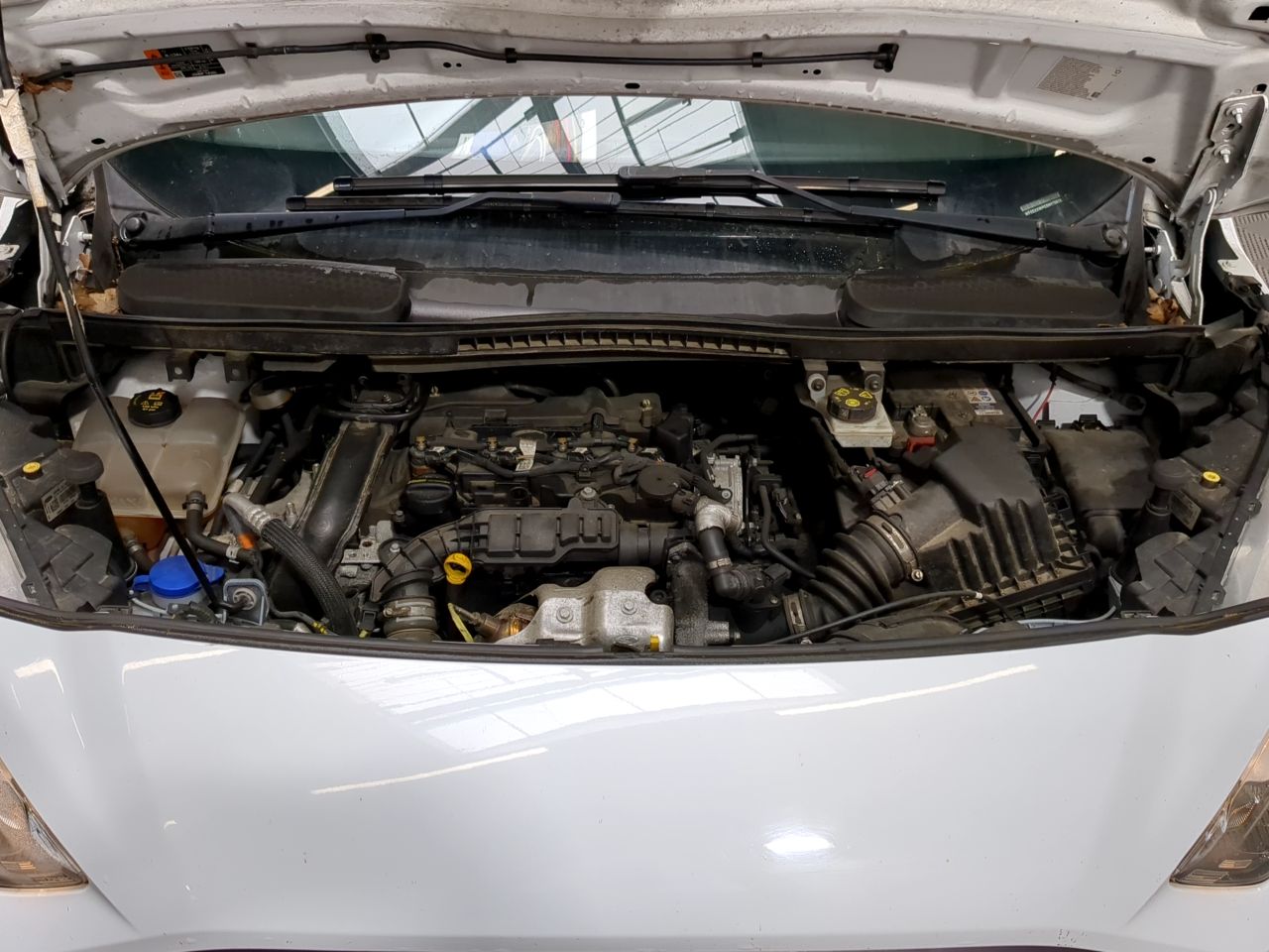 Ford Transit Connect FGN