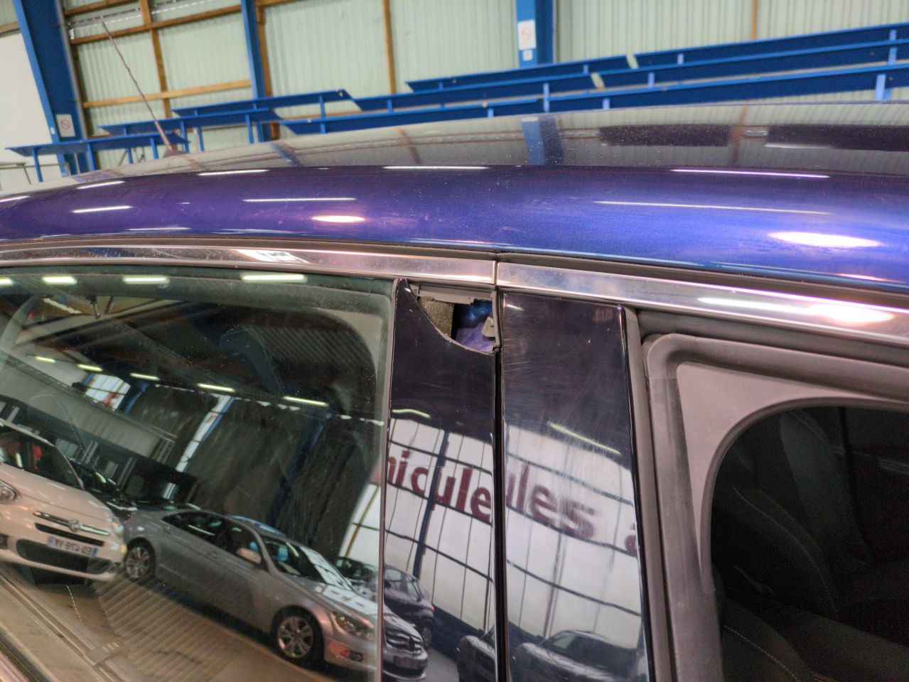 Renault Scenic Business