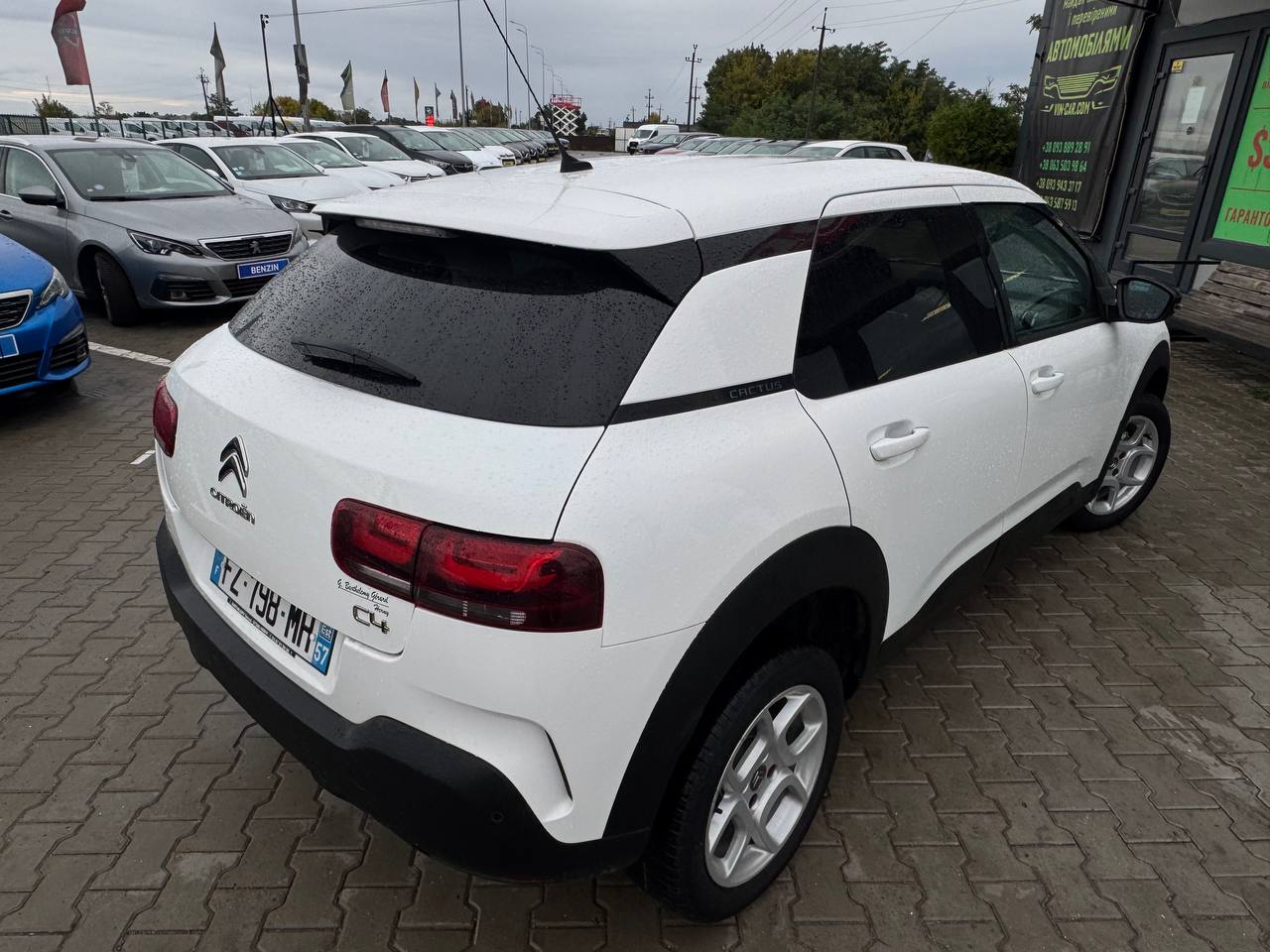 Citroen C4 Cactus SHINE Business