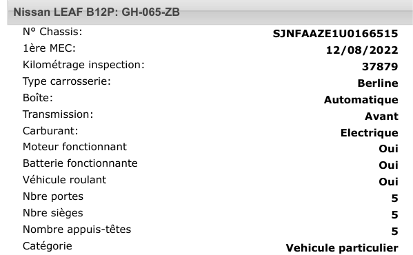 Nissan Leaf ACENTA