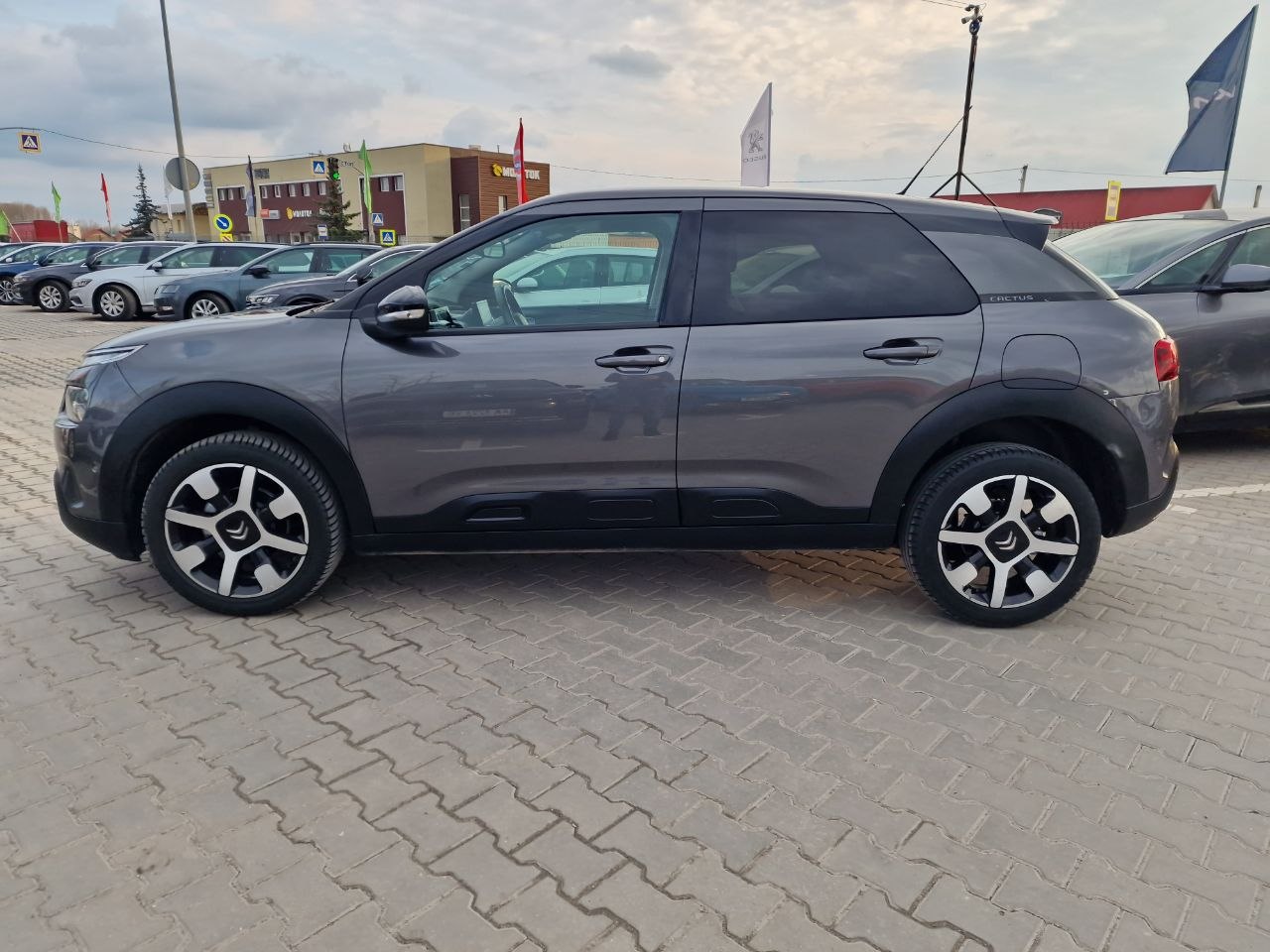 Citroen C4 CACTUS SHINE