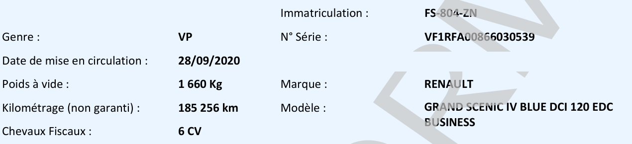 Renault GRAND Scenic Business