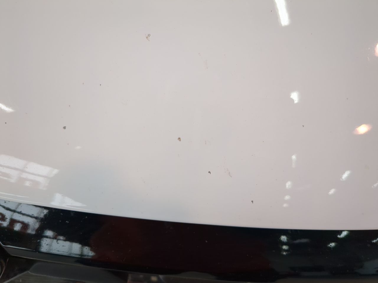 Renault Scenic Business