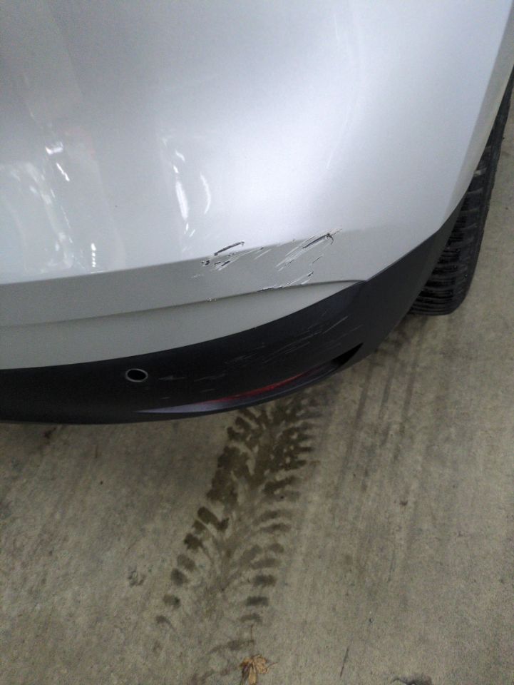 Renault Scenic Business