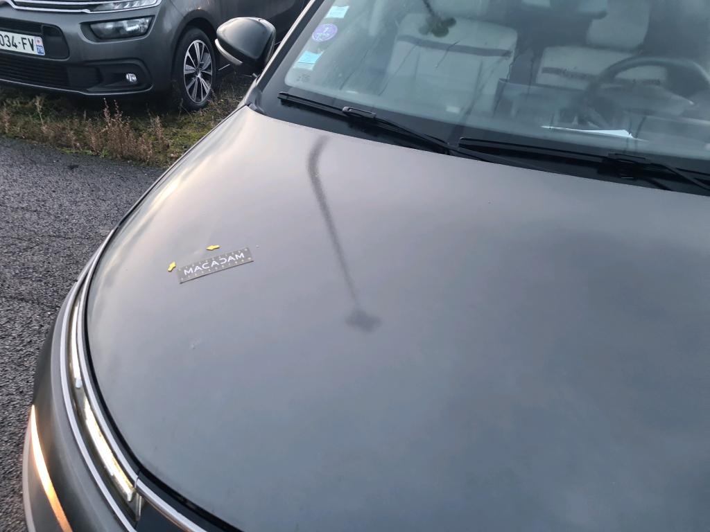 Citroen C4 CACTUS SHINE