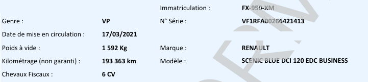 Renault Scenic Business