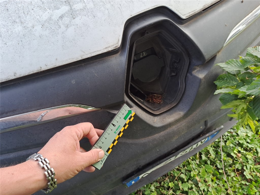 Renault Kangoo Express