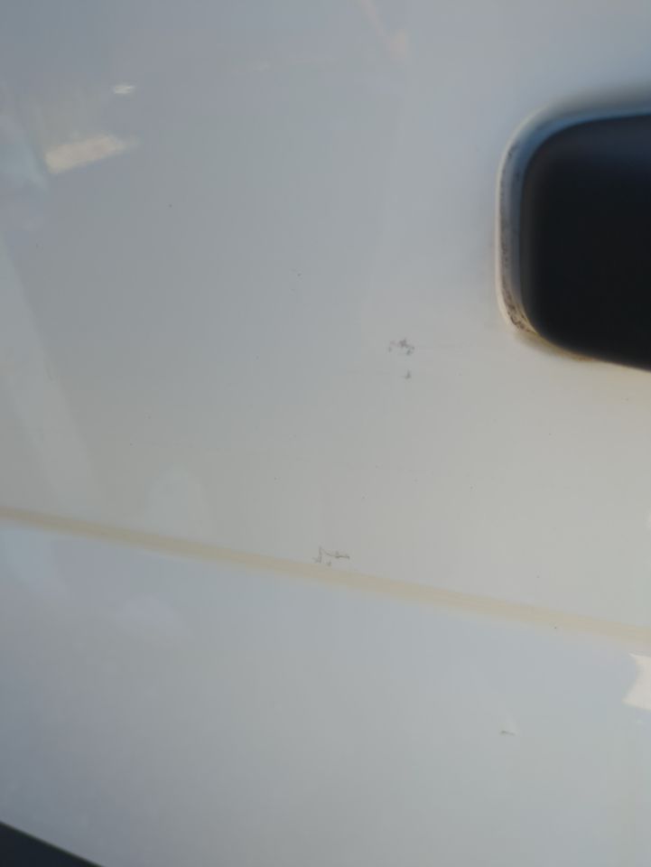 Renault Master FGN TRAC L2H2