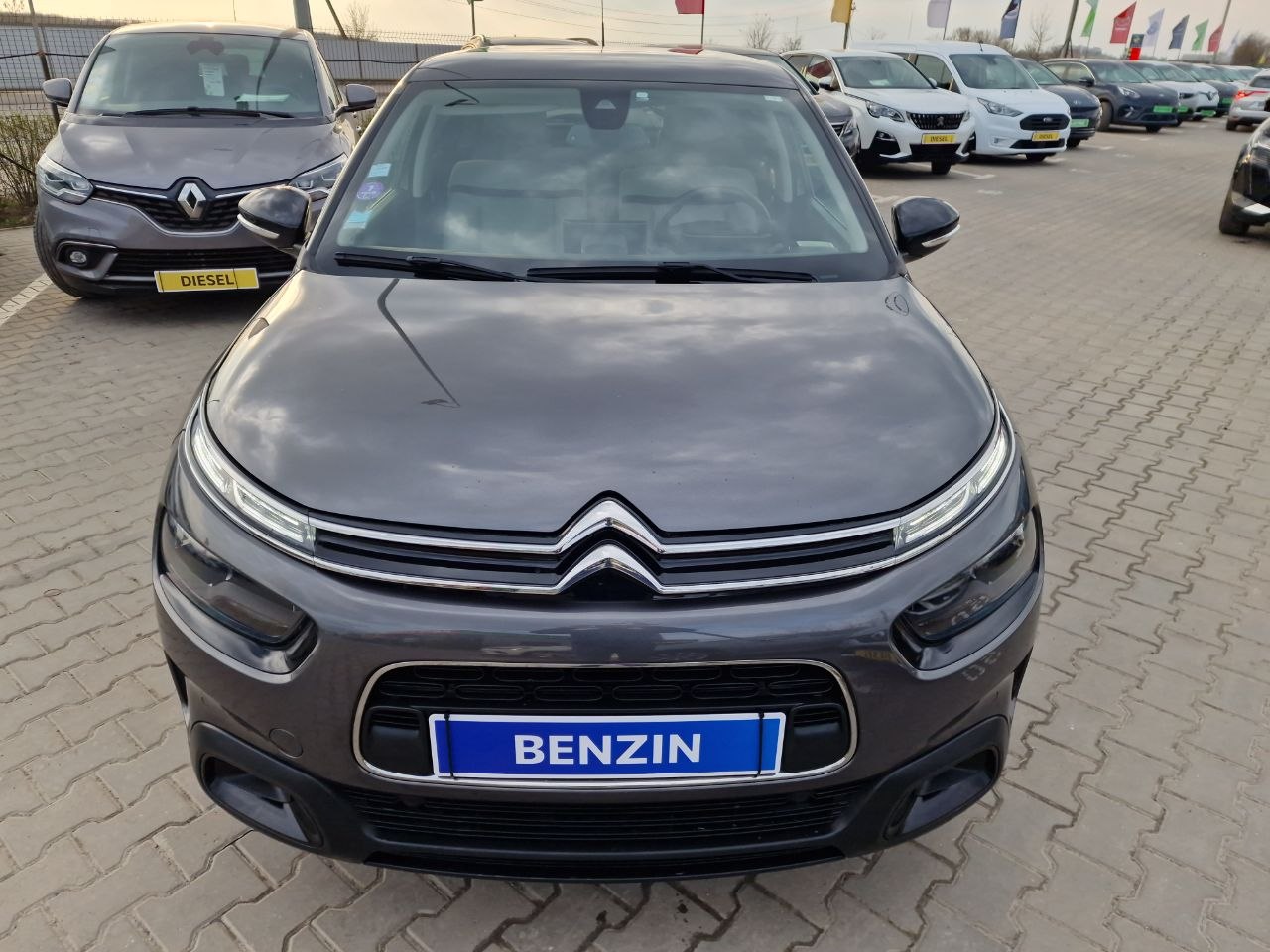 Citroen C4 CACTUS SHINE