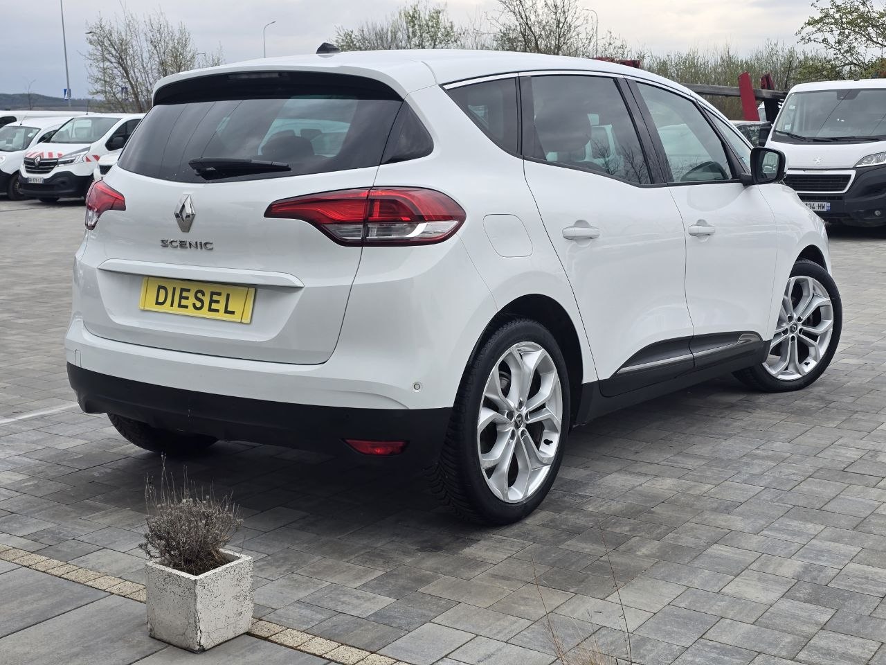 Renault Scenic Business