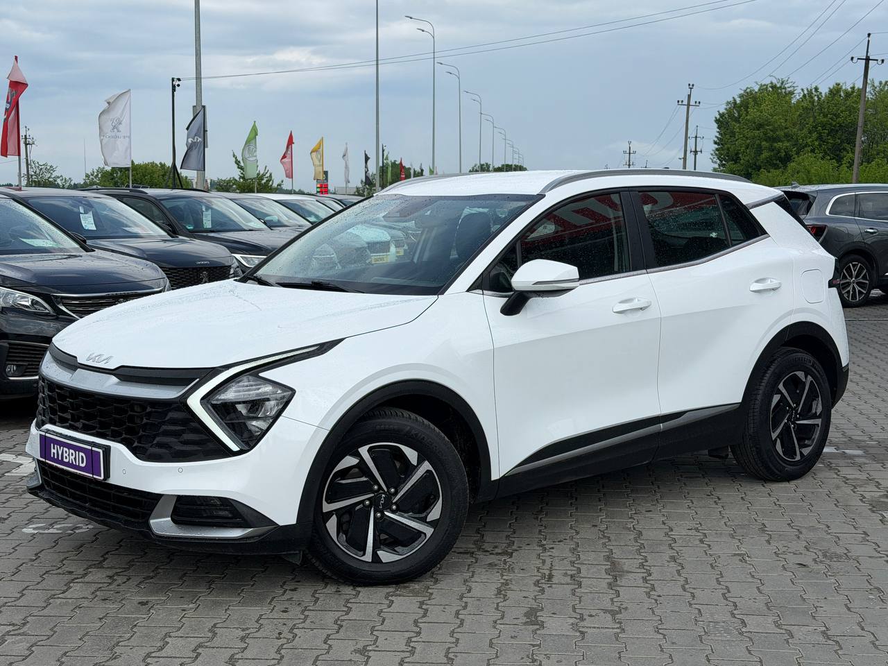 KIA Sportage HYBRID Business