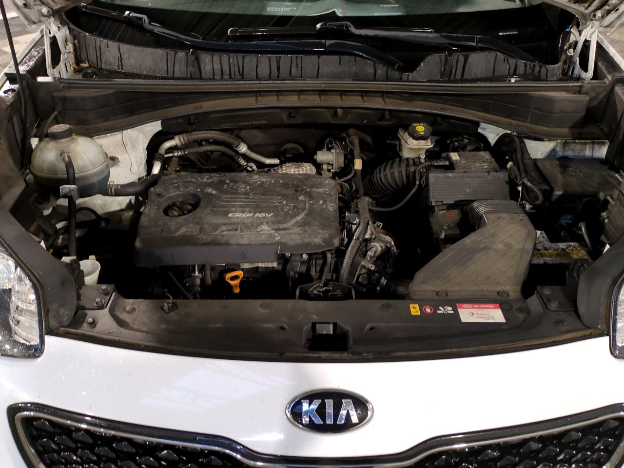 Kia Sportage Business