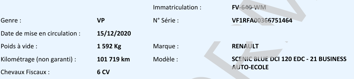 Renault Scenic Business