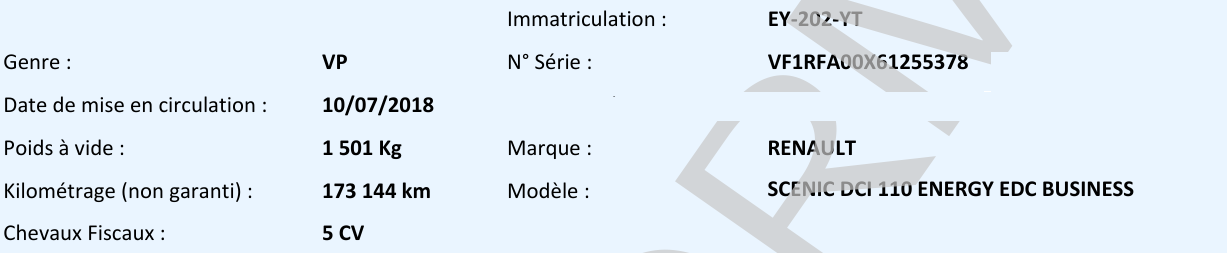 Renault Scenic Business