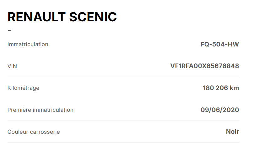 Renault Scenic Business