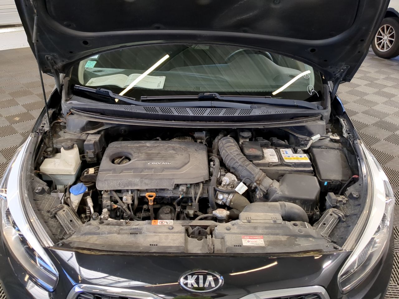 Kia Ceed Active