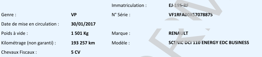 Renault Scenic Business