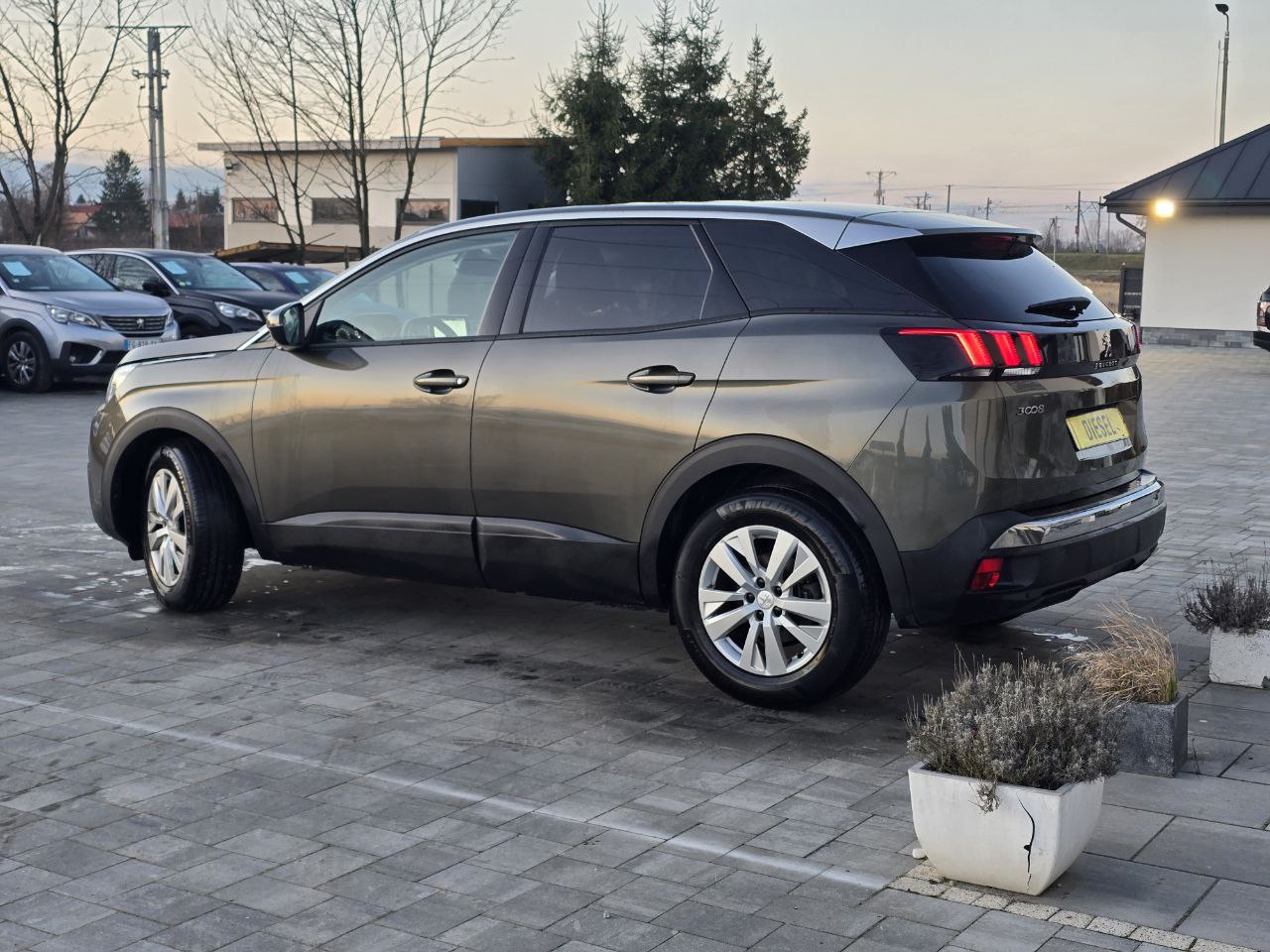 Peugeot 3008 Business