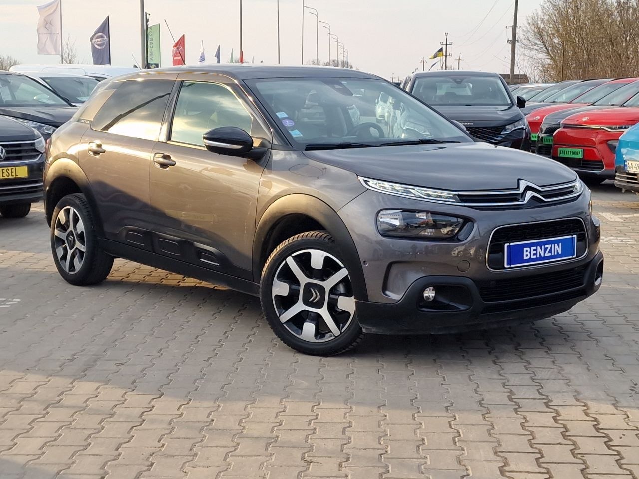 Citroen C4 CACTUS SHINE