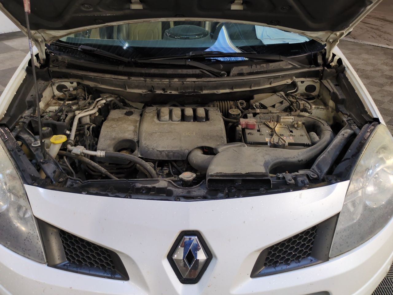 Renault Koleos White Edition