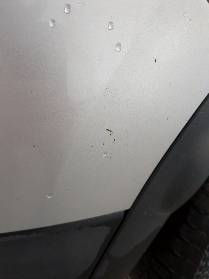 Renault Kadjar INTENS