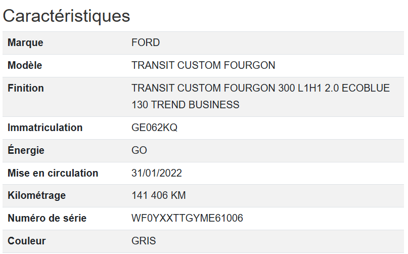 Ford Transit FGN L1H1