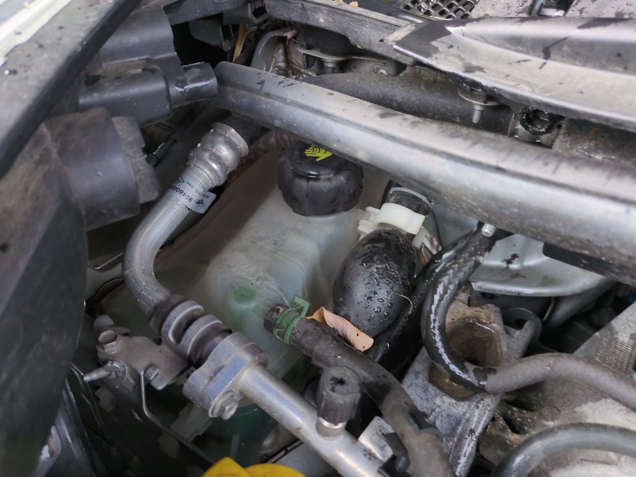 Renault Scenic XMOD ZEN