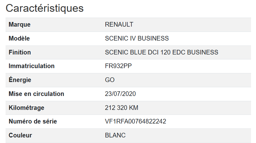 Renault Scenic Business