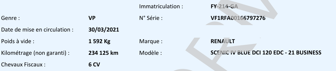 Renault Scenic Business