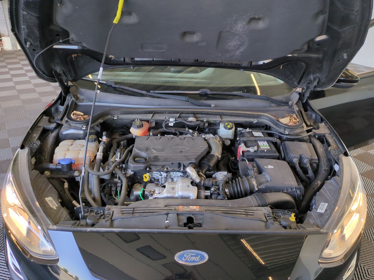 Ford Focus Trend