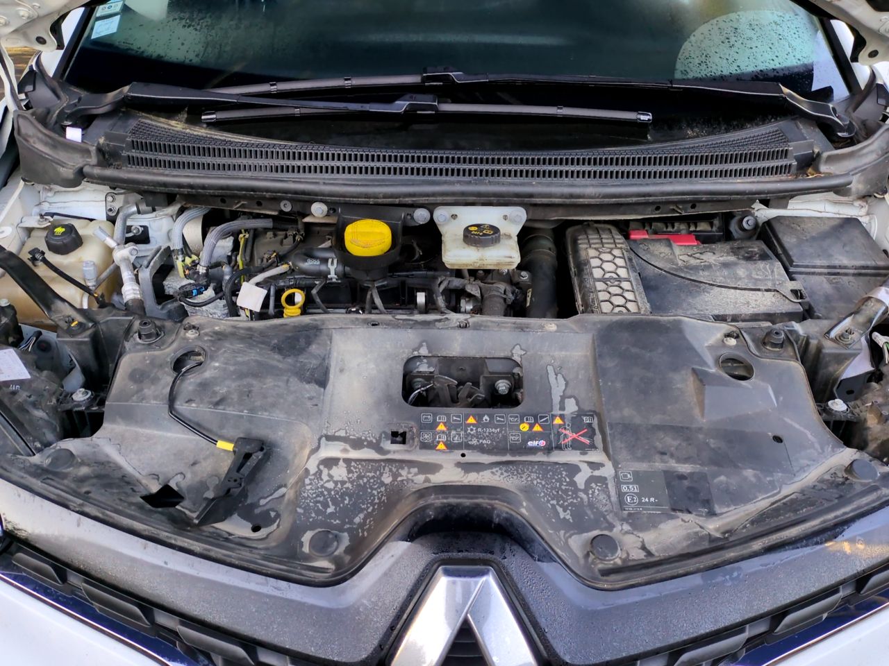 Renault Scenic Business