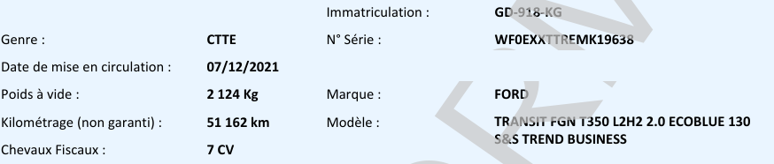 Ford Transit FGN L2H2