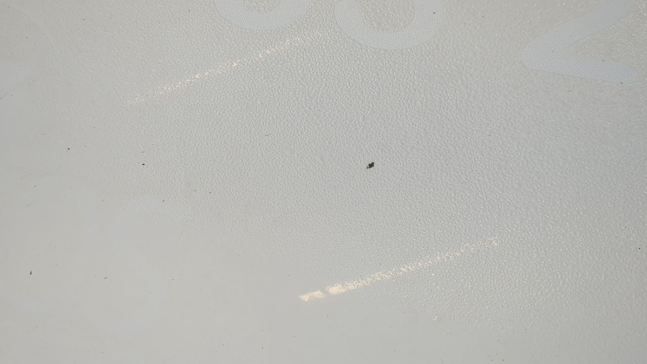 Renault Kangoo Express