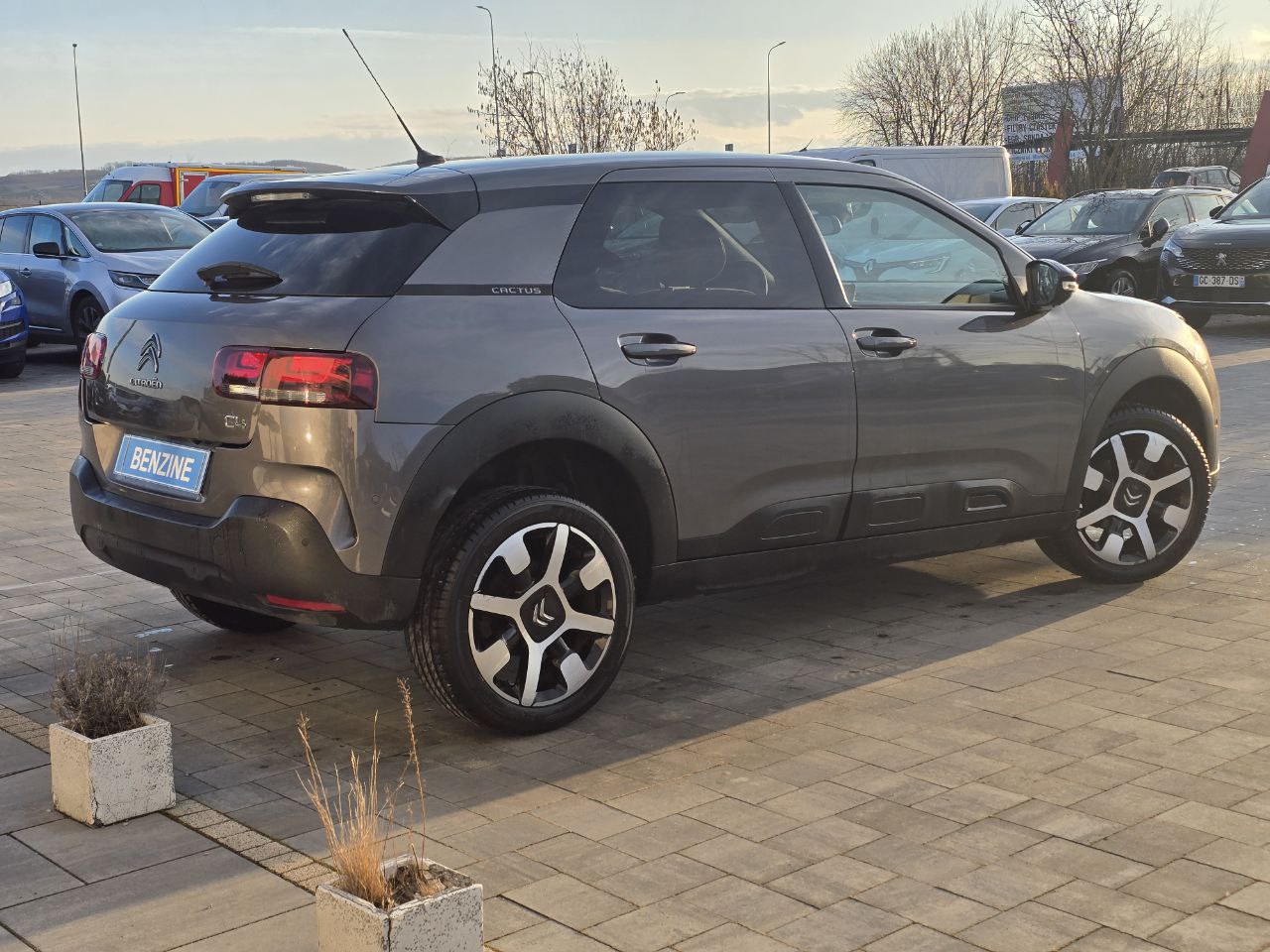Citroen C4 CACTUS SHINE