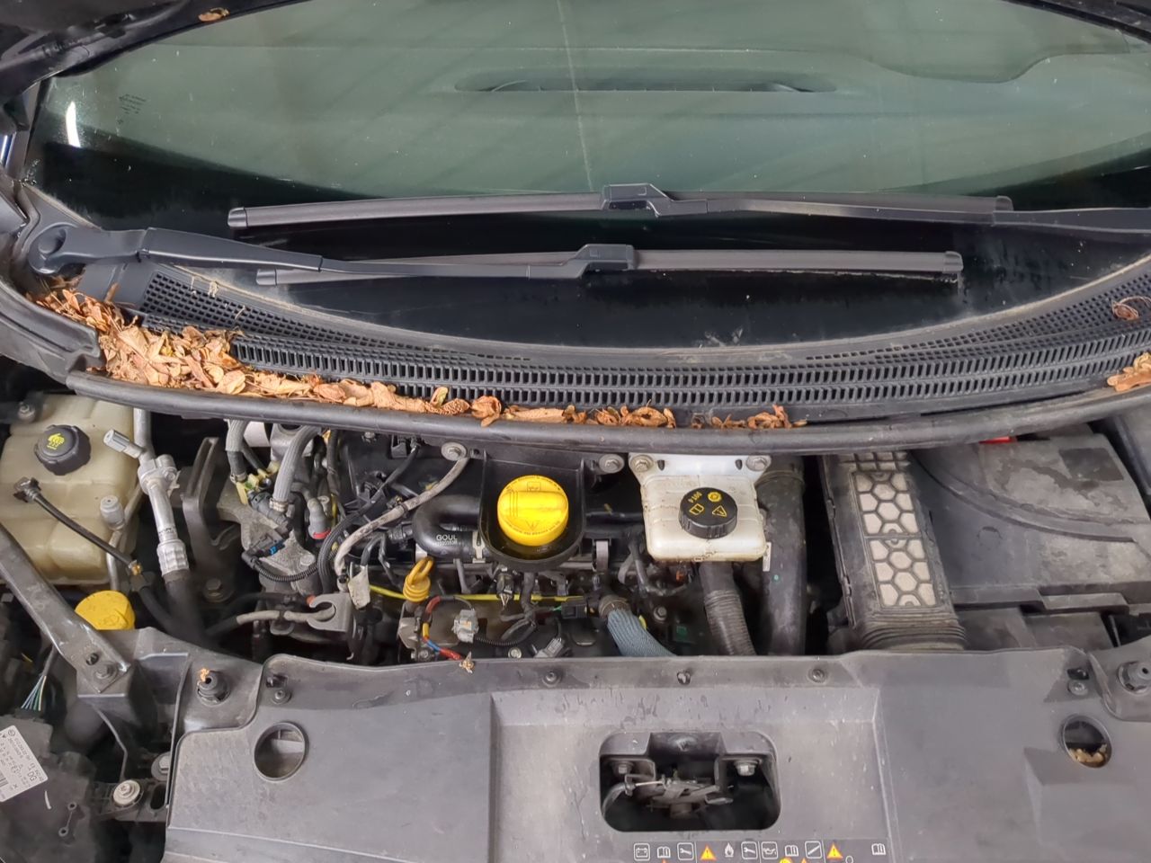Renault Grand Scenic Life