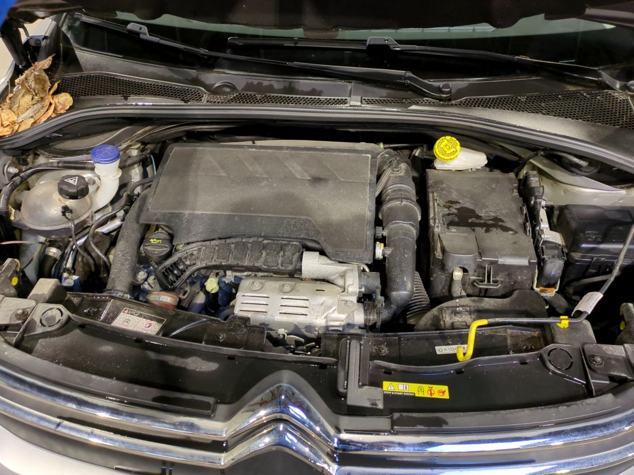 Citroen C3 SHINE Business