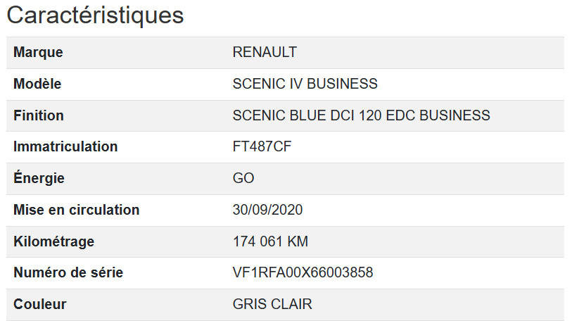 Renault Scenic Business