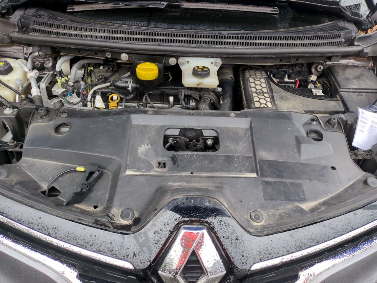 Renault Scenic Business