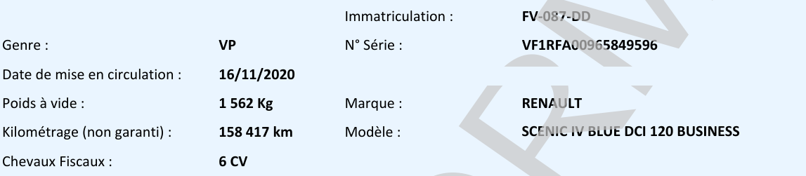 Renault Scenic Business